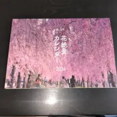 Item thumbnail for item dcb25147-f3f5-4d68-a977-38e3fcda39f5