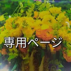 わか様　専用/2