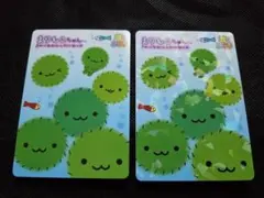 2026年最新】まりもこちゃん サンエックスの人気アイテム - メルカリ