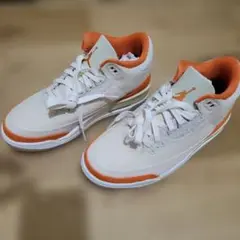 Air Jordan 3 retrotex*starfish