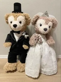 ディズニー結婚式