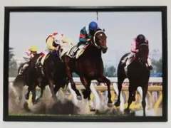JRA競馬パネル 競馬ブックネットSHOP / カラーパネル