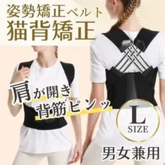猫背矯正 背筋ベルト 男女兼用 肩甲骨サポート 着脱簡単 姿勢補正ベルト L