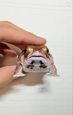アメフクラガエル＆クランウェルツノガエル ガチャガチャのサムネイル