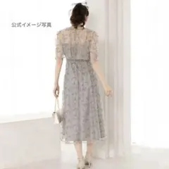 花柄刺繍フリル袖ロングドレス