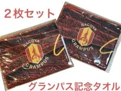 新品未開封 名古屋グランパス 記念タオルマフラー 2枚セット