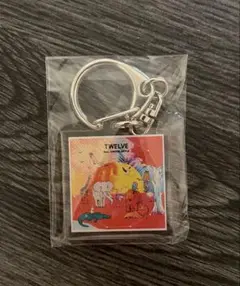 カプセルトイ アルバムアクリルキーホルダー ミセス 10