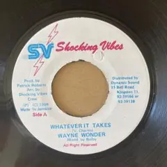 レゲエ Mud Up Wayne Wonder Shocking Vibes