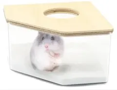 Item thumbnail for item 2f3f1e16-3dcd-40f2-b8f3-60c18987d8d7