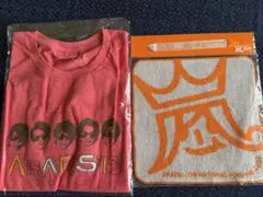 嵐グッズARAFES'13 Tシャツとミニタオルセット