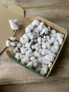 Item thumbnail for item 962de1e7-d38f-4307-bfe3-c91da83f60e8