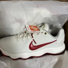 HYPERDUNK 2017 LOW EP 27 ホワイト/レッド