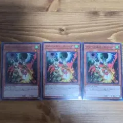 ドロール＆ロックバード 3枚セット