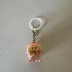 こびとづかん めじるしアクセサリー カクレモモジリ