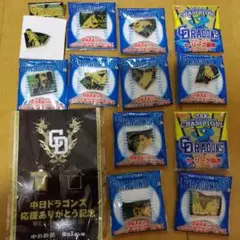 中日ドラゴンズ　ピンバッチ