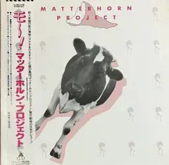Matterhorn Project - Matterhorn Project