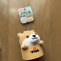 旅するマメしば　飛騨限定　下呂温泉バージョン