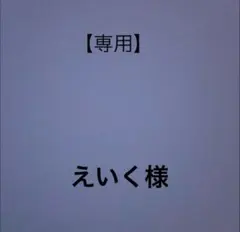 【専用】えいく様