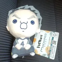 新品未使用 木兎光太郎 ハイキュー‼︎ もちぴこぬいぐるみ⑦１