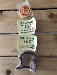 銀河鉄道999 ヘッドマーク＆パスケースコレクション [ テレビ版 ]