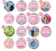 ディズニー　ピンバッジ　プリンセス　７点セット　まとめ売り 2025】ディズニーランド&シーで買えるピンバッジ70種類