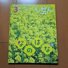 Item thumbnail for item a08a3031-ff2f-45b9-857b-19be4f9c4d07