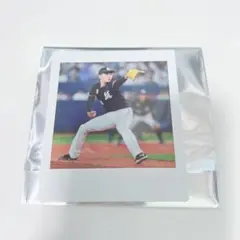千葉ロッテマリーンズ 廣池康志郎 スクエアチェキ