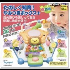 Toyroyal 知育玩具　楽しく知育
