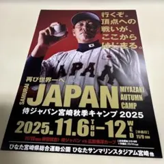 侍ジャパン 宮崎