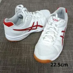 ASICS TSY102 トレーニングシューズ 22.5cm ホワイト/レッド