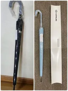 Item thumbnail for item 5b43e791-623c-45ea-8a0b-0c6e92ea64fc