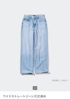 ワイドストレートジーンズ 24 (61 cm) BLUE