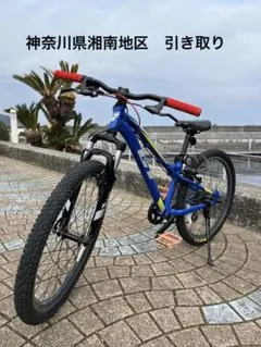 2026年最新】GT 自転車本体の人気アイテム - メルカリ