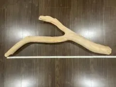 流木