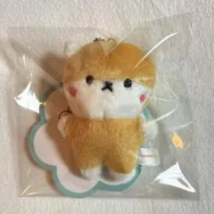 2026年最新】HAMSGYIの人気アイテム - メルカリ
