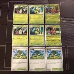 ポケモンカード　チコリータ　ベイリーフ　メガニウム　活力の森　6枚