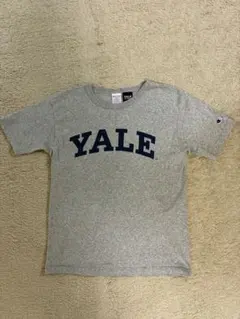 Champion T1011 Yale University Tシャツ Mサイズ