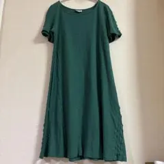 ホコモモラのサムネイル