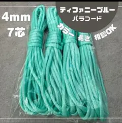 Item thumbnail for item d174772a-9e12-4a6a-a727-570693ba276a