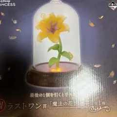 ディズニープリンセス 1番くじ ラストワン賞