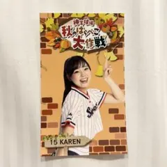 ヤクルトスワローズ Passion ステッカー KAREN 神宮球場