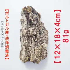 2025年最新】コルク樹皮 キャノンの人気アイテム - メルカリ