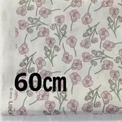 リバティ　ロス　ピンク　60㎝　cs