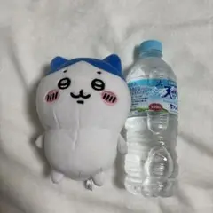 ちいかわ ハチワレ ぬいぐるみ