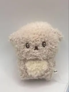 いしよわちゃん　てのり　ぬいぐるみ　サンエックス