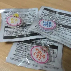 sidem おなまえバッジ