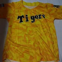 Item thumbnail for item 38a68875-a7a4-4344-b834-9e6544ba3cc3