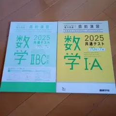 Shyogun様 リクエスト 2点 まとめ商品