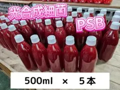 PSB【500ml×5本】光合成細菌 メダカ 水質 バクテリア エサ　野菜 肥料のサムネイル