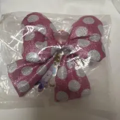 ディズニーパルパルーザ　ミニー リボン キーチェーン　シークレット